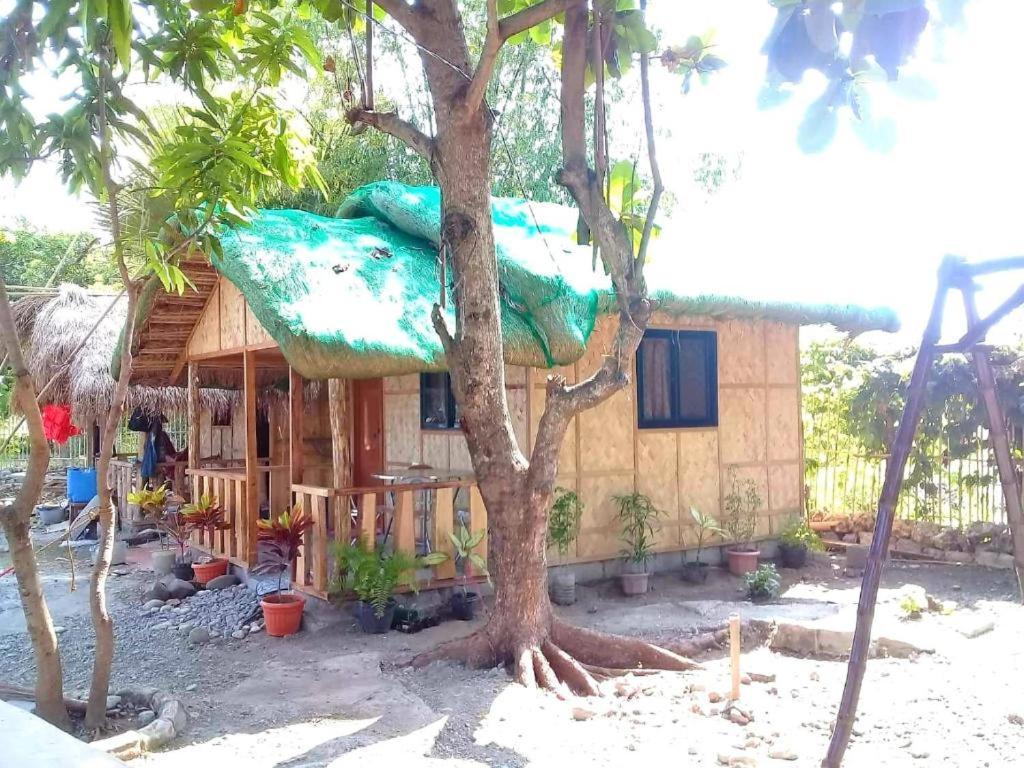 Traditional Filipino Transient House And Huts Near 100 Islands Wharf Alaminos Exterior foto